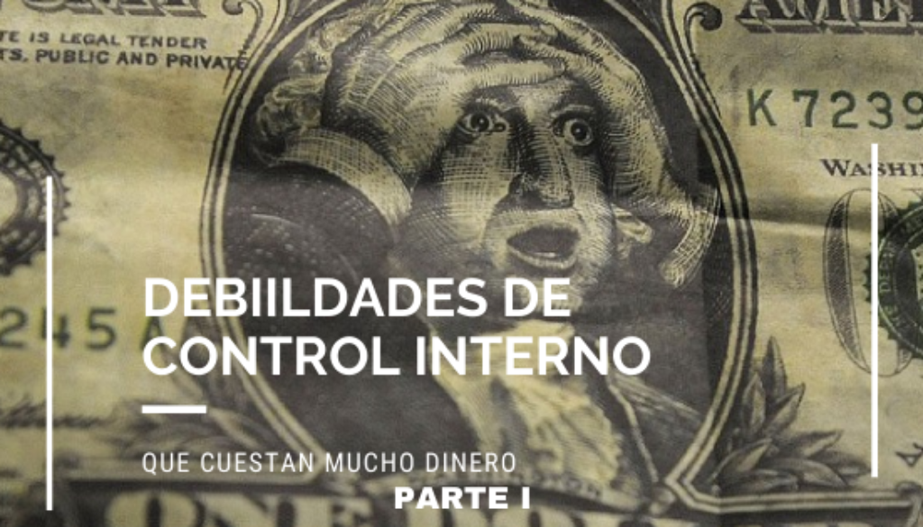 5 debiildades de control interno